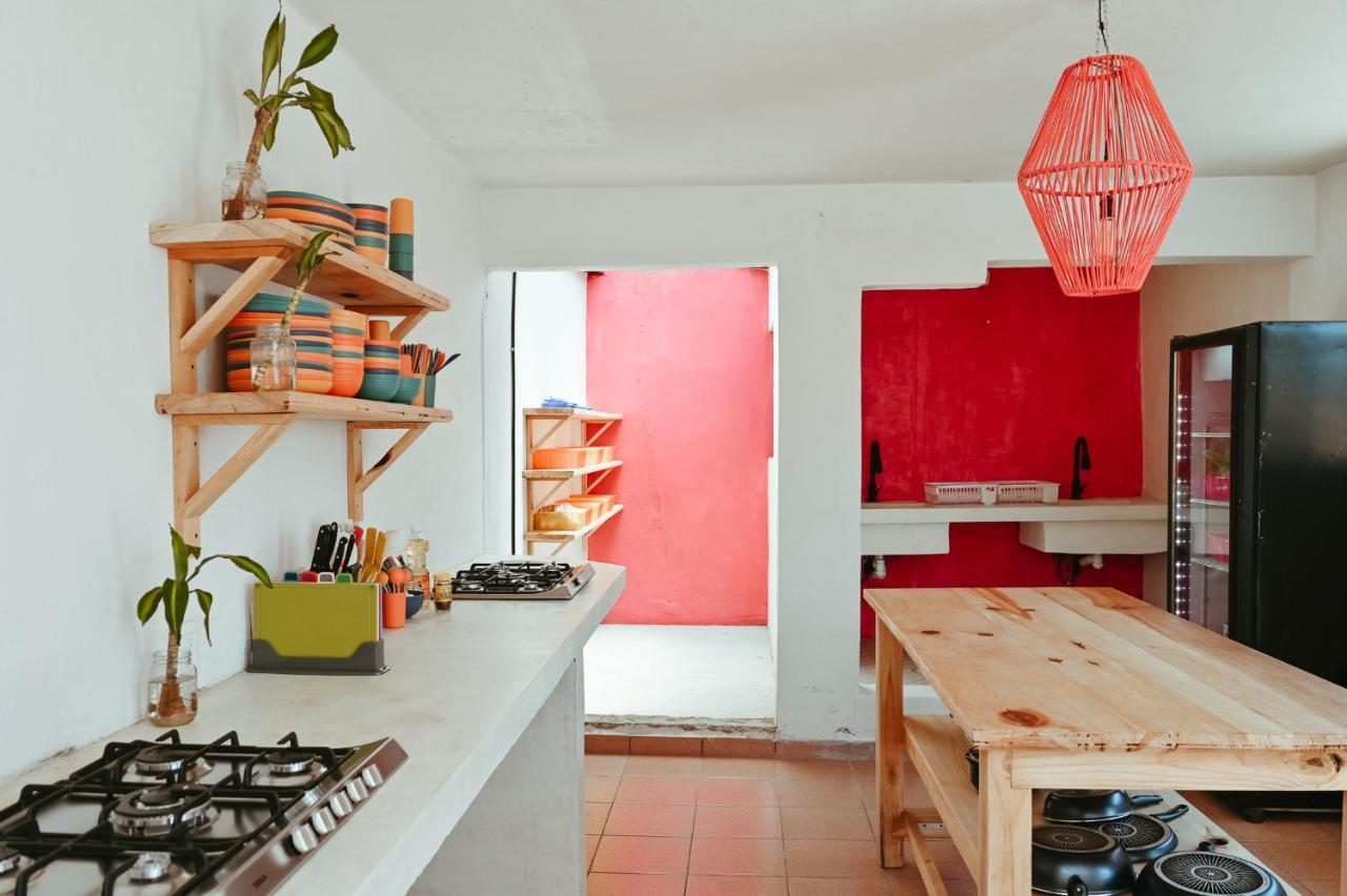 Maka Hostel Oaxaca Ngoại thất bức ảnh